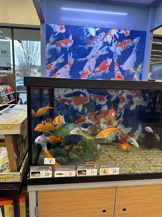 Petco Picture 10