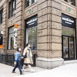 Small Door Veterinary - Gramercy
