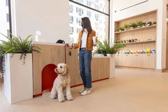 Small Door Veterinary - Gramercy Picture 4