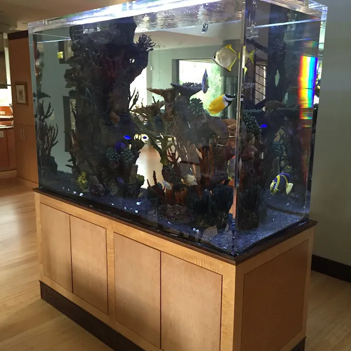 Clearwater Aquarium Services Picture 2