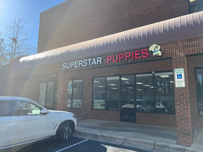 Superstar Puppies For Sale Raleigh Picture 2