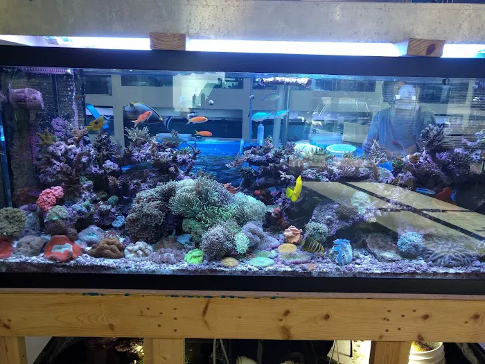 Fintastic Aquariums of Wake County Inc Picture 7