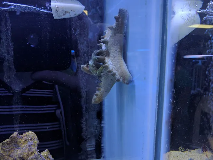 Fintastic Aquariums of Wake County Inc Picture 3