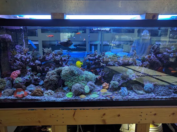 Fintastic Aquariums of Wake County Inc Picture 6