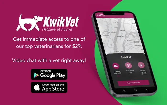 KwikVet - 24 hour veterinarians Picture 1