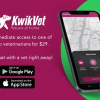 KwikVet - 24 hour veterinarians ico