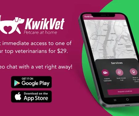KwikVet - 24 hour veterinarians