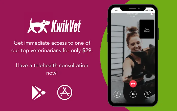 KwikVet - 24 hour veterinarians Picture 6