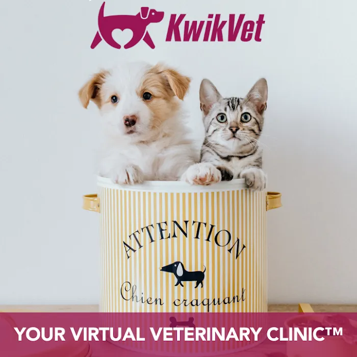KwikVet - 24 hour veterinarians Picture 7