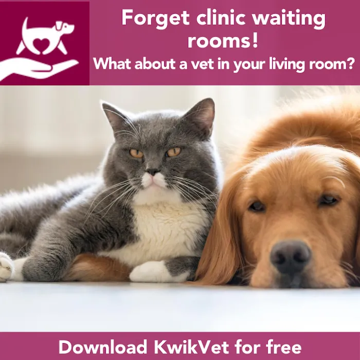 KwikVet - 24 hour veterinarians Picture 8