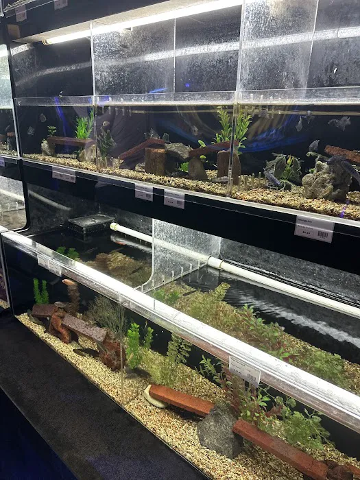 Fish Room Picture 2