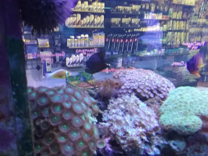Fish Room Picture 8