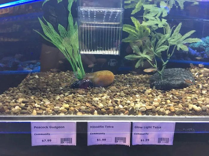 Fish Room Picture 6