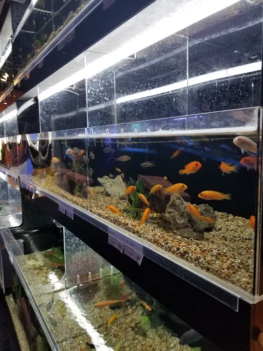 Fish Room Picture 7