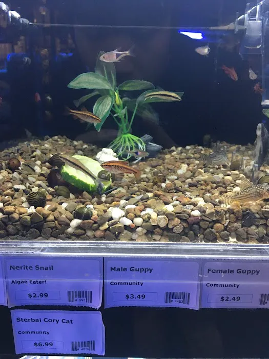Fish Room Picture 5