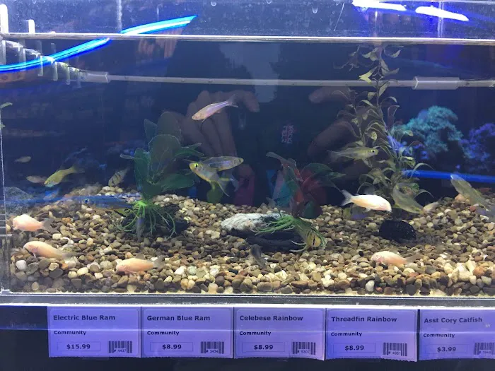 Fish Room Picture 4