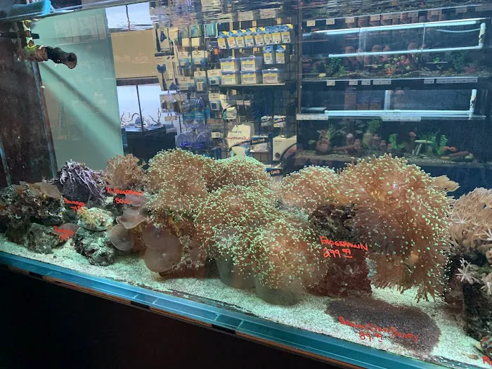 Fish Room Picture 10