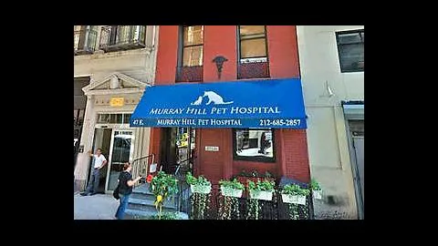Murray Hill Pet Hospital Picture 6