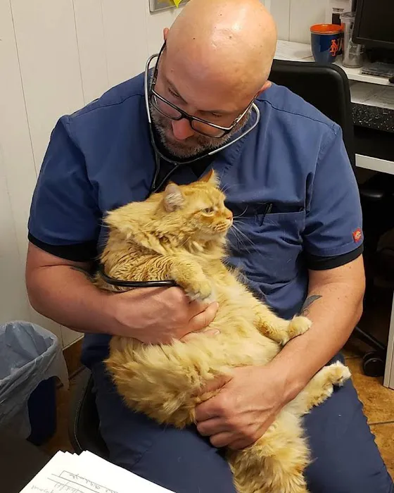 Murray Hill Pet Hospital Picture 5