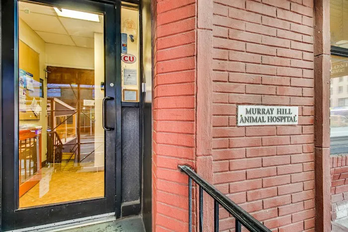 Murray Hill Pet Hospital Picture 2