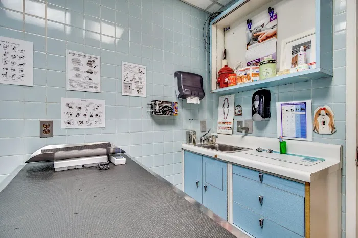 Murray Hill Pet Hospital Picture 3