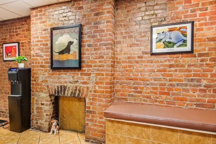 Murray Hill Pet Hospital Picture 7
