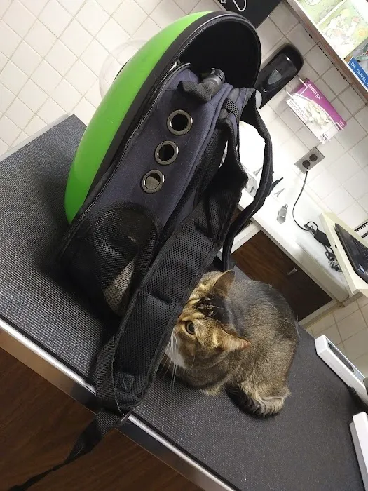 Murray Hill Pet Hospital Picture 10