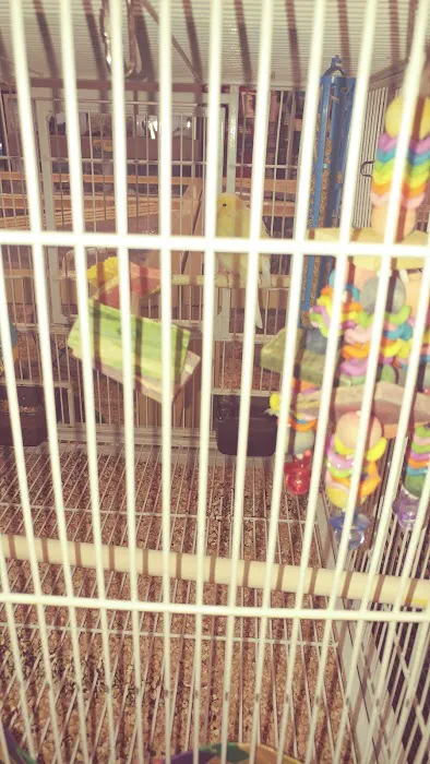 Pet Supermarket Picture 7