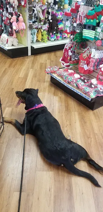 Pet Supermarket Picture 6