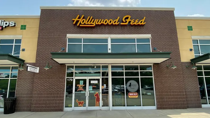 Hollywood Feed Picture 10