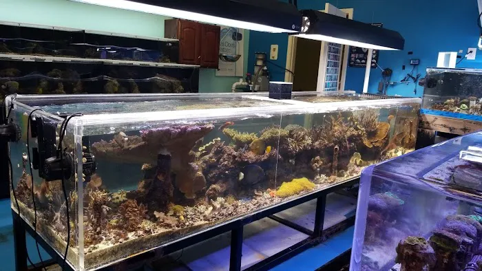 Reef Keepers Aquariums Picture 2