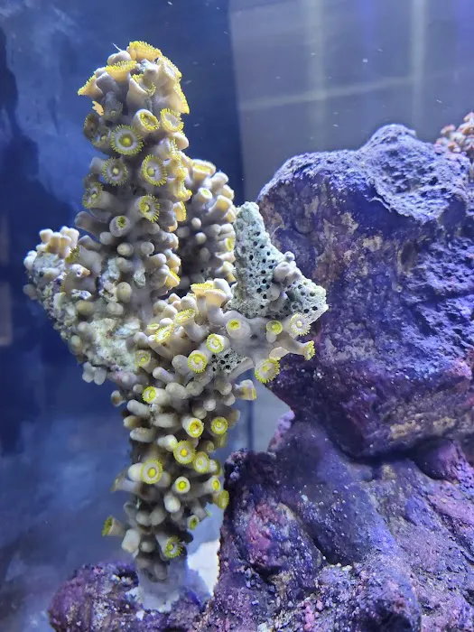 Reef Keepers Aquariums Picture 3
