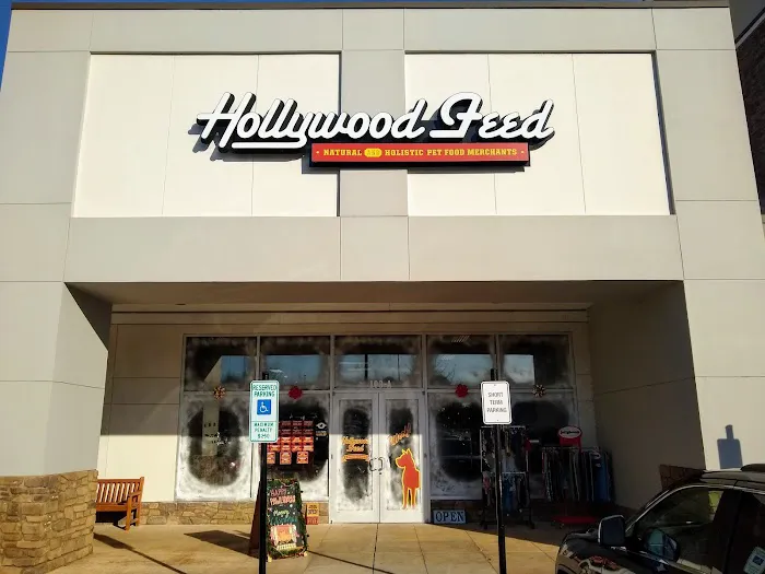 Hollywood Feed Picture 10