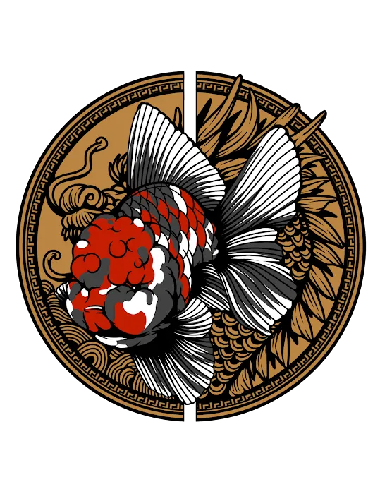 Tsugi Goldfish Picture 10