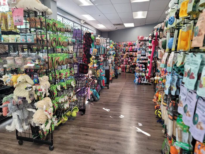 Pet Mania Picture 4