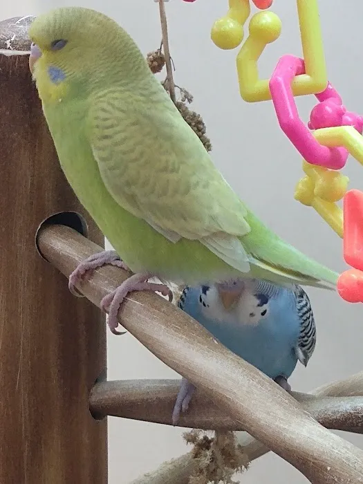Petco Picture 1