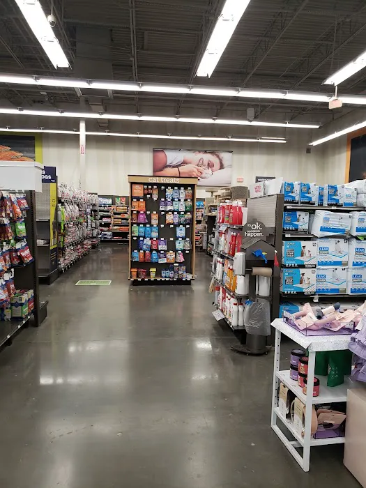 Petco Picture 6