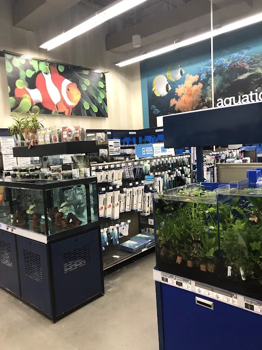 Petco Picture 3