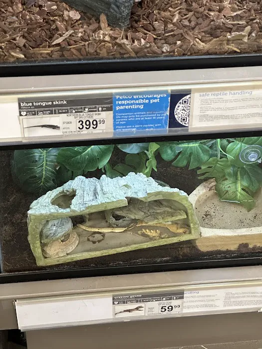 Petco Picture 4