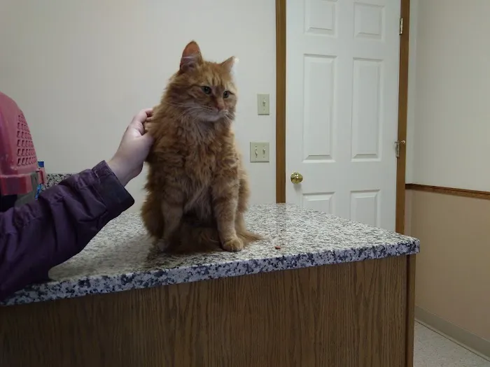 Veterinary Medical Center Picture 8