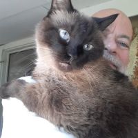Veterinary Medical Center ico