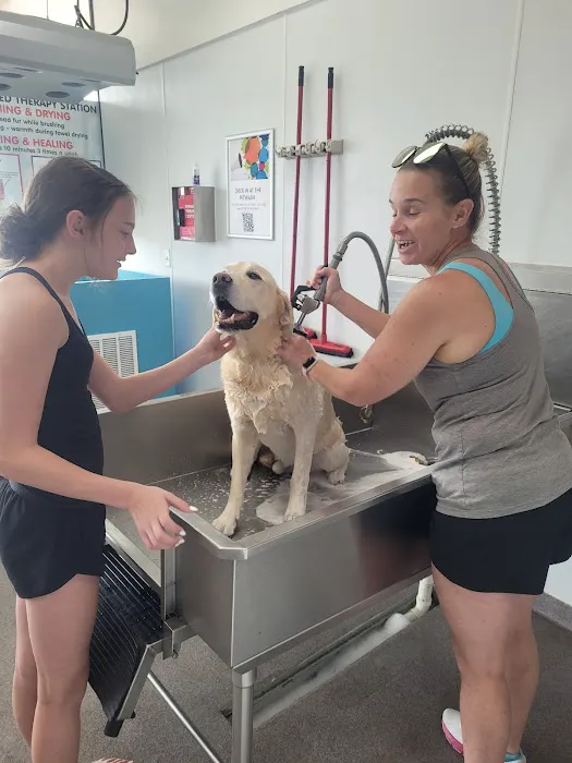 Pet Wash 24 Picture 4