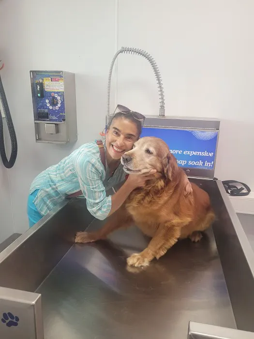 Pet Wash 24 Picture 2