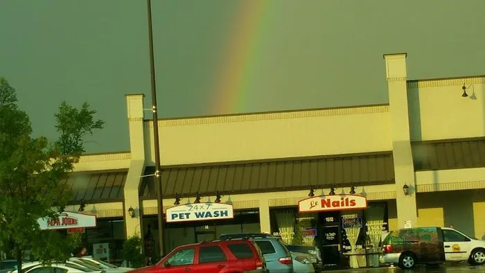 Pet Wash 24 Picture 1