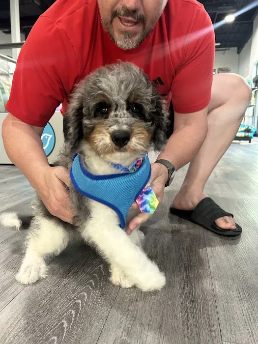 Petland Raleigh, North Carolina Picture 7