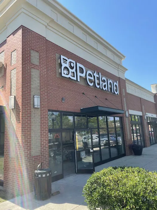 Petland Raleigh, North Carolina Picture 6