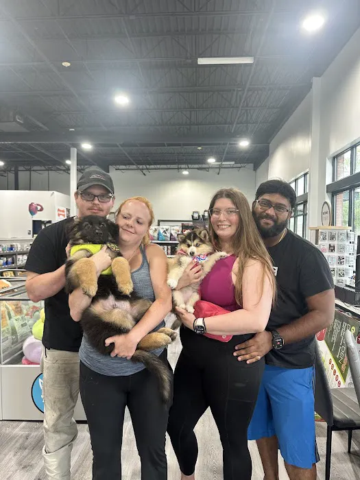 Petland Raleigh, North Carolina Picture 8