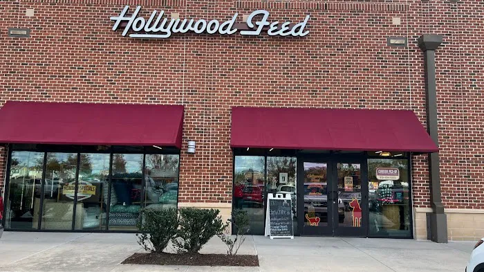 Hollywood Feed Picture 10