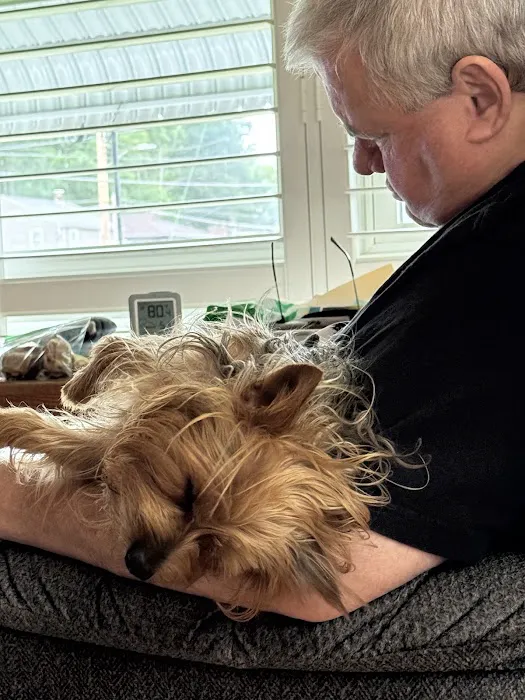 Dickin Memorial Animal Hospital Picture 3