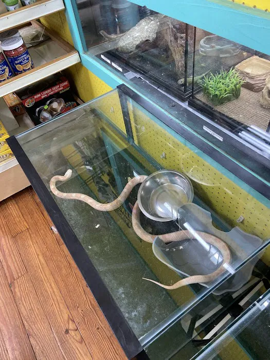 Aquarium Outfitters Carolina Picture 4